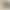 Plus-Size Shorts, Sporty, Loose, Casual, High-Waisted, Slimming, Khaki Color, Summer Women's Outerwear, Mid-Length Pants