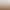 Star White Shoes for Women Hong Kong Style Chic Hot Style 2025 New Versatile Ins Trendy Breathable Casual Sneakers Star White Shoes for Women Hong Kong Style Chic Hot Style 2025 New Versatile Ins Trendy Breathable Casual Sneakers