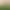 genuine goods Stretch Plate Solid Wood Stool Standing Inclined Pedal Home Stretch Yoga Fitness Rehabilitation Skinny Leg Artifact