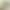 Simulation of a large bunch of ivy plant wall rattan decoration simulation flower hanging orchid hanging wall hanging vine hanging vine green plant Simulation of a large bunch of ivy plant wall rattan decoration simulation flower hanging orchid hanging wall hanging vine hanging vine green plant