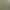 2026 Spring Tea White Silver Needle 500g High Mountain Sun-Dried White Tea Silver Needle Loose Tea Wholesale with Fragrant and Honeyed Aroma in Bulk 2026 Spring Tea White Silver Needle 500g High Mountain Sun-Dried White Tea Silver Needle Loose Tea Wholesale with Fragrant and Honeyed Aroma in Bulk