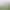New Couple's Vintage Tang-Style Playful and Cute Traditional Chinese Wedding Photoshoot Outdoor Studio Photography Theme Clothing