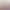 Famoty Vitality Gentle 12-Color Eyeshadow Powder Skin Matte Fine Shine Light White Cosmetics Dropshipping Famoty Vitality Gentle 12-Color Eyeshadow Powder Skin Matte Fine Shine Light White Cosmetics Dropshipping