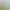 Green Gauze Fabric for Kindergarten Decoration, Soft and Dense Avocado Green Mesh Fabric for Wedding Dresses