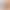 Cross-Border Exclusive Supply of Women's Cycling Shorts, Leopard Print High-Waisted Yoga Shorts, Tummy Control Training Yoga Pants, In-Stock Dropshipping