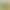 Green Forest Cut Out Wire Hoop Floor Mat Shower Room Drain Floor Mat Bathroom Non-Slip Mat Bathroom Wear-Resistant Foot Mat