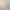 European and American Cross-Border Plus-Size Autumn and Winter Solid Color Round Neck Long-Sleeve Ribbed Fashion Casual Sports Loungewear Two-Piece Set