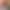 Christmas Sweater 2024 Autumn/Winter New Sweet Loose Round Neck Pullover Long Sleeve Thick Knitted Sweater for Women