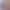 2024 Women's Summer Camisole Mini dress Sleeveless Elegant A- line Short dress