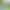 Money Tree, Gardenia, Asparagus Fern, Pothos, Aloe Vera, Office Air Purifying Green Plants, Desktop Flowers, Hydroponic Plants Money Tree, Gardenia, Asparagus Fern, Pothos, Aloe Vera, Office Air Purifying Green Plants, Desktop Flowers, Hydroponic Plants