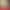 Xianli solid color background paper 0.7*1 meter still life photography paper children's indoor photography studio special props