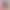 Duck Duck Lightweight down Jacket for Men with Stand Collar 2026 Winter New Style Men's Casual Fashion Business Warm Coat Off-Season