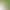 Citizen Original Me Color Green Water Ghost Watch Simple Business Fully Automatic Mechanical Men's Watch Nj0150-81Z/80E