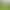 Kindergarten School Autumn Outing Picnic Decoration Balloons Tassels Children's Birthday Party Camping Outdoor Scene Setup Cat