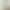 Light Luxury Modern Simple French Cream Style Living Room Curtain Thickened Chenille Jacquard Shading 2024 New Finished