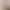 [Premium Selection] Flameless Aromatherapy Reed Diffuser for Home Use, Unisex Light Fragrance for Bedroom, Long-Lasting Scent