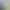 Khaki Straight-Leg Jeans for Petite Women, Summer 2026 New Popular Style, Loose Wide-Leg Pants Trending This Year