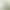 Guangdong French Nyonya Style Morandi Soft Light Olive Green Tiles 400X800 Kitchen and Bathroom Wall Tiles Bathroom Floor Tiles