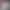 White Sneakers in Extra Large Sizes 45, 46, 47, Men's Lightweight Shock-Absorbing Breathable Running Shoes, Women's Shoes, Couple's Shoes