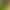 Simulated Seven-Star Ladybug Moss Micro Landscape Succulent Resin Crafts DIY Cream Glue Mobile Phone Case Jewelry Accessories