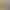 Bermuda Shorts 2026 Summer New Style Anti-Wrinkle Split Mesh Lining Commuter Sports Casual Hot Pants for Women