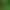500g Yingde Green Tea, Yingzhou No. 1 Roasted Green Tea, Strong Aroma, Loose Leaf