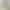 Camisole with Chest Pad Shorts Home Clothes Suit Women's Summer Thin Modal Outer-Wearing Pajamas Living Clothes