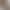 Straight-Leg Alert! ~2026 New Style Women's High-Waisted Loose Stretch Slimming Cigarette Pants Straight-Leg Alert! ~2026 New Style Women's High-Waisted Loose Stretch Slimming Cigarette Pants
