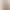 Lazy Style Cardigan for Women Pure Cashmere V Neck Knitwear Simple Accessible Luxury Work Clothing Shell Button Knitwear Jacket Wholesale Lazy Style Cardigan for Women Pure Cashmere V Neck Knitwear Simple Accessible Luxury Work Clothing Shell Button Knitwear Jacket Wholesale