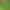 Dropshipping (Large Portion) Copper Money Grass Money Grass Water Culture Seeds Hydroponic Soil Culture Flower Seeds Seedlings Dropshipping (Large Portion) Copper Money Grass Money Grass Water Culture Seeds Hydroponic Soil Culture Flower Seeds Seedlings
