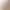 So Comfortable, Seamless One-Piece Cashmere Short-Sleeved Women's Round Neck Pullover Half-Sleeved Solid Color Knitted Sweater