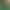 Customized Dark Green Sunshade Net, Encrypted and Thickened, for Courtyard Outdoor Shading, Heat Insulation, Sun Protection, and Balcony Privacy Net