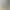 180g Polyester-Cotton Knitted Double-Layer Mesh Cloth Military Green Bird's Eye Cloth Short-Sleeved Physical Fitness Clothing Fabric Military Training Clothing Breathable and Quick-Drying