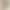 Flared Shark Pants for Women, 2025 New Style for All Seasons, Elastic Slim-Fit Yoga Pants, Butt-Lifting and Slimming Flared Pants Flared Shark Pants for Women, 2025 New Style for All Seasons, Elastic Slim-Fit Yoga Pants, Butt-Lifting and Slimming Flared Pants