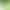 Artificial willow leaves willow strips fake willow branches landscape decoration leaves weeping willow strips suspended ceiling green plants branches leaves