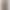 Imitation copper ammonia fiber wide-waistband air-layer wide-leg pants for women, spring and autumn, sand green, casual style, loose fit, flowing, athletic pants