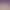 Dog Food for the Elderly Dog Food for the Elderly Dog Food for the Old Dog Full Dog Breed Middle-aged and elderly dogs over 7 years old Teddy Golden Retriever