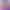 Tang. Chengbei Health Plant-Based Whey Dual Protein Powder 450g Nutritional Powder for Middle-Aged and Elderly Adults Official Genuine Gift