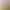 18070 # 250g New Velvet Fabric, New Oxygen Cotton, Cotton Ammonia Fabric, Sweatshirt Jacket, Textile Cross-Border Export Knitted Fabric 18070 # 250g New Velvet Fabric, New Oxygen Cotton, Cotton Ammonia Fabric, Sweatshirt Jacket, Textile Cross-Border Export Knitted Fabric
