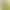 Salt-Baked Green Beans Liangfuji Green Beans 2.5kg / Bag Ktv Bar Restaurant Snacks Crispy Green Beans Wholesale