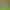 Halloween decorations spider web spider silk cotton simulation big spider bar scene layout props cross-border hot sale Halloween decorations spider web spider silk cotton simulation big spider bar scene layout props cross-border hot sale