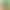 New Cross-Border Studio Backdrop Cloth Amazon T-Shaped Backdrop Stand 2X 2m Green Screen Stand Live Broadcast Backdrop Wholesale