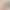 Exquisite and Sexy Lace Plus-Size Lingerie for Women, Thin Style, Wireless, Push-Up, Anti-Sagging, Side Breast Gathering Bra Exquisite and Sexy Lace Plus-Size Lingerie for Women, Thin Style, Wireless, Push-Up, Anti-Sagging, Side Breast Gathering Bra