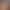 8810 Seamless Glossy Bra for Small Busts, Enhancing and Gathering Effect, Half-Round Cup, Thin on Top and Thick on the Bottom, Wireless and Strapless Bra