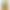 Yanyou Beibei Pumpkin Seeds Sweet-Faced Small Fruit Sweet Panel Chestnut Pumpkin Seeds Vegetable Garden Farm Vegetable Larvae