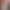 Cute Cartoon Seamless Socks for Women, Mid-Short Length Socks, Spring and Summer 2026 New Thin Lace Korean Style Ins Cotton Socks