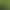 Creative New Product Playful Frog Succulent Flower Pot Micro Landscape Pendant Garden Courtyard Outdoor Pastoral Decoration Crafts Creative New Product Playful Frog Succulent Flower Pot Micro Landscape Pendant Garden Courtyard Outdoor Pastoral Decoration Crafts
