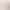 Solid Wood Sponge Non-Slip Household Clothes Hangers Clothing Store Plastic Wooden Clothes Hangers Clothes Hangers Pants Clips Wholesale