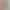 Spring and Autumn New Leggings Women's Outer Wear High Waist Stretch Tight Black Pencil Pants Corn Waist Leggings Cropped Pants Spring and Autumn New Leggings Women's Outer Wear High Waist Stretch Tight Black Pencil Pants Corn Waist Leggings Cropped Pants