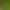 INS three-dimensional forest shooting background paper photo props advanced sense photo live props background cloth background board